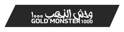 izmir-minelab-gold-monster-1000
